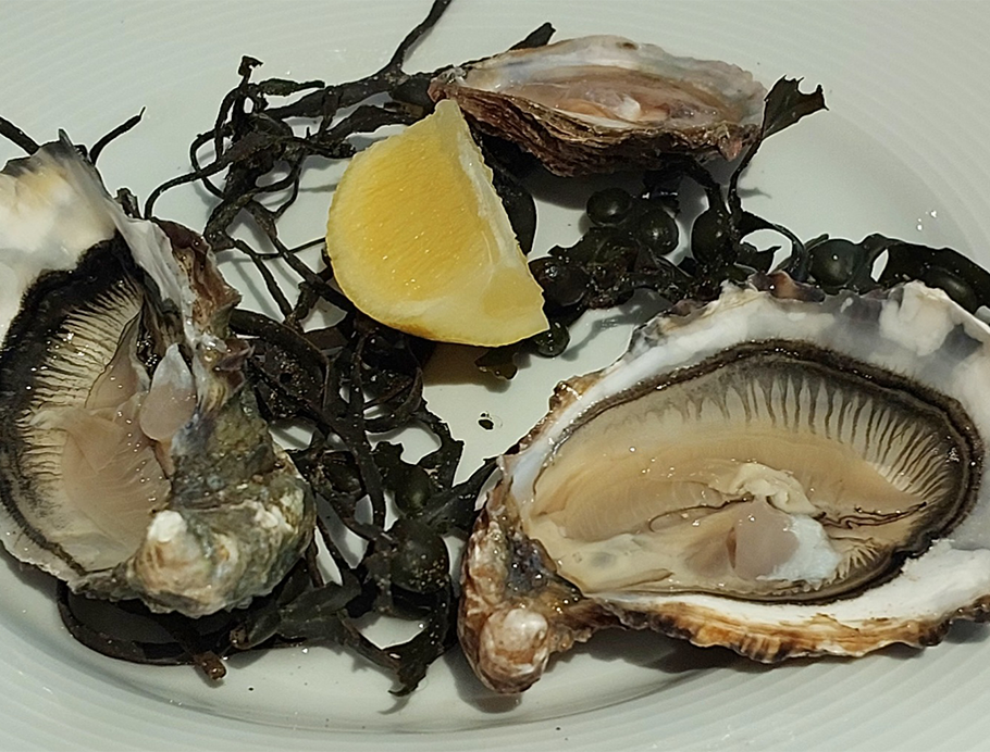 La Ferme Marine Oysters, Cancale, France by Vicki Rothwell